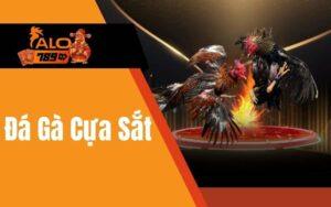 Đá Gà Cựa Sắt