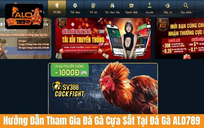 Hướng dẫn các bước tham gia đá gà cựa sắt tại đá gà ALO789
