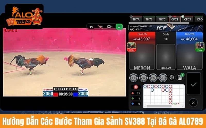 Hướng dẫn các bước tham gia sảnh đá gà SV388 tại đá gà ALO789