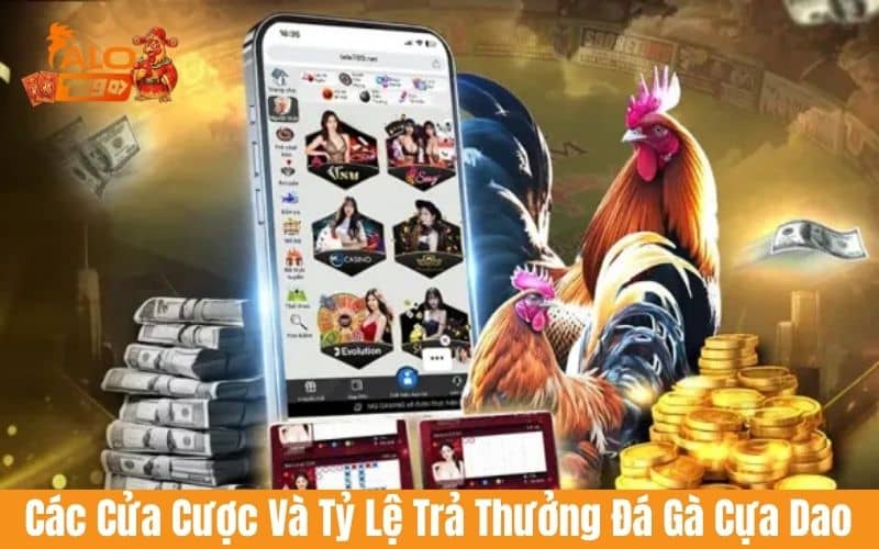 Nắm vững cửa cược và tỷ lệ cược khi tham gia cá cược đá gà cựa dao