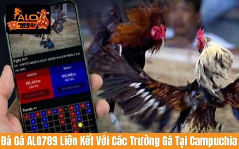 Người chơi có thể xem trực tiếp trận đá gà cựa sắt ở các trường gà danh tiếng