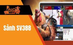 Sảnh cược đá gà SV388 tại Đá Gà ALO789