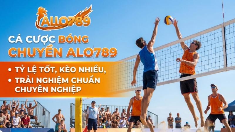 Trải Nghiệm Cá Cược Bóng Chuyền Online Đỉnh Cao Tại Thể Thao ALO789