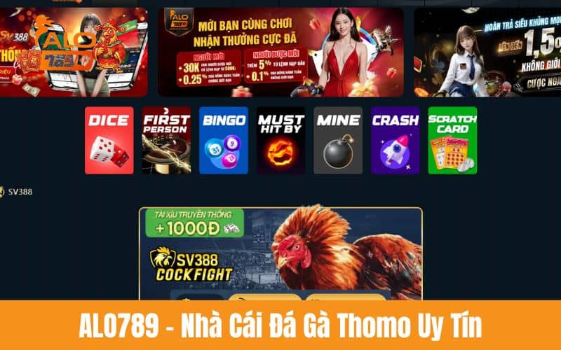 ALO789 - Nhà cái cá cược đá gà Thomo trực tuyến uy tín