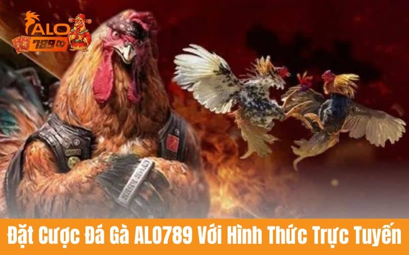 Đá gà ALO789 là sản phẩm chủ lực của nhà cái ALO789