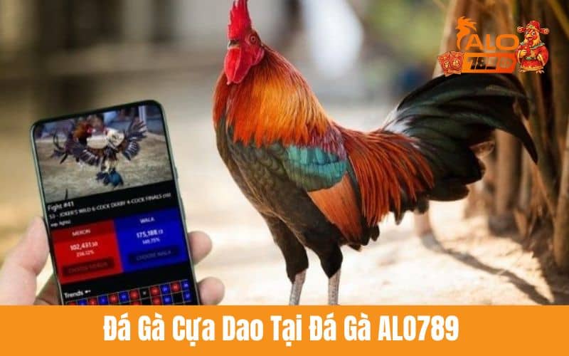Đá gà cựa dao đầy kịch tính