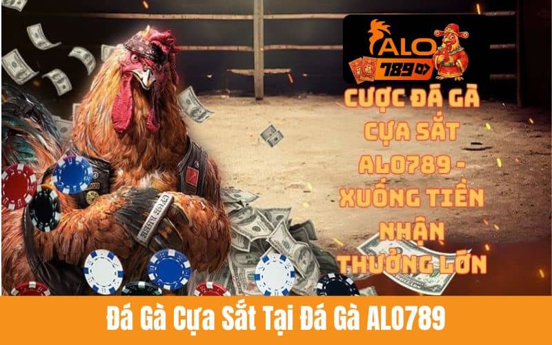 Đá gà cựa sắt cực hấp dẫn