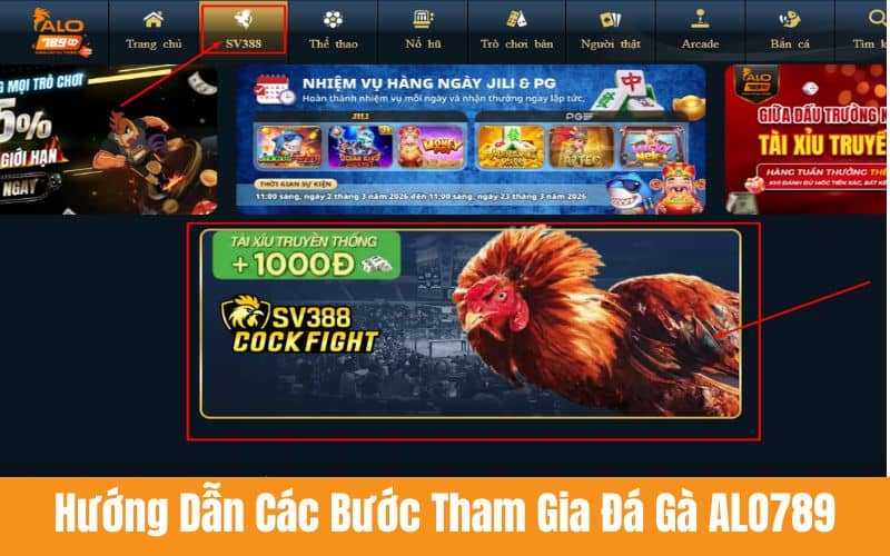 Những bước hướng dẫn tham gia đá gà ALO789